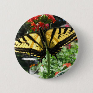 Badge Rond 5 Cm Pin oriental de papillon de machaon de tigre