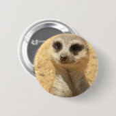 Badge Rond 5 Cm Pin rond curieux de Meerkat (Devant & derrière)