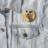 Badge Rond 5 Cm Pin rond curieux de Meerkat (En situation)