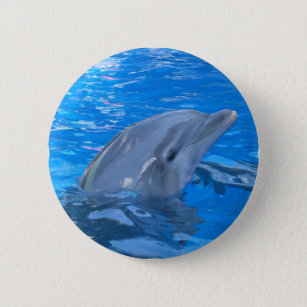 Badge Rond 5 Cm Pin rond de dauphin de Bottlenose