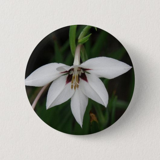 Badge Rond 5 Cm Pin rond de fleur d'orchidée (Devant)