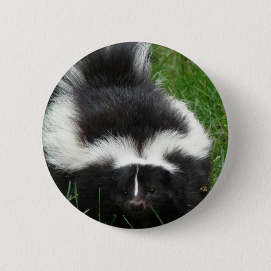 Badge Rond 5 Cm Pin rond de mouffette (Devant)