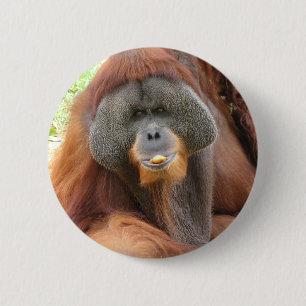 Badge Rond 5 Cm Pin rond de singe d'orang-outan de Pongo