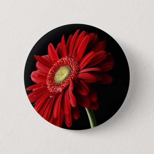 Badge Rond 5 Cm Pin rouge de marguerite de Gerber (Devant)