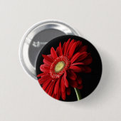 Badge Rond 5 Cm Pin rouge de marguerite de Gerber (Devant & derrière)