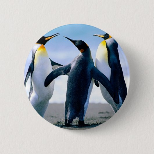 Badge Rond 5 Cm Pingouins (Devant)