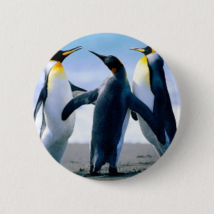 Badge Rond 5 Cm Pingouins