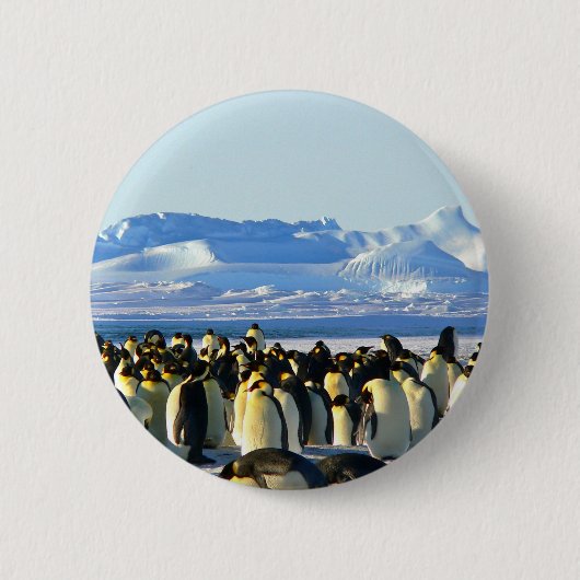 Badge Rond 5 Cm Pingouins empereurs (Devant)