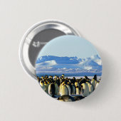 Badge Rond 5 Cm Pingouins empereurs (Devant & derrière)