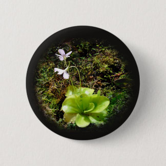 Badge Rond 5 Cm Pinguinaire réticulata