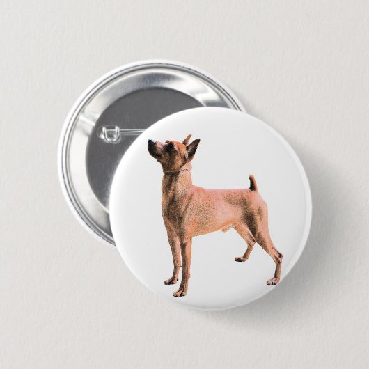 Badge Rond 5 Cm Pinscher miniature (Devant & derrière)