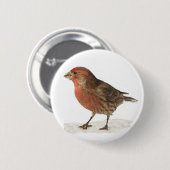 Badge Rond 5 Cm Pinson de Chambre (Devant & derrière)