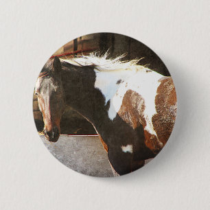 Badge Rond 5 Cm Pinto Horse