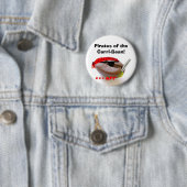 Badge Rond 5 Cm Pirates du Carri-Haricot ! (En situation)