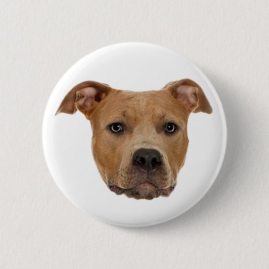 Badge Rond 5 Cm Pitbull Chien (Devant)