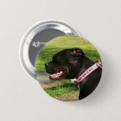 Badge Rond 5 Cm Pitbull noir (Devant & derrière)