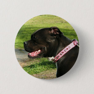 Badge Rond 5 Cm Pitbull noir