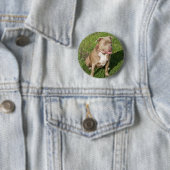 Badge Rond 5 Cm Pitbull paisible (En situation)