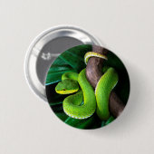 Badge Rond 5 Cm pitviper en bambou Rouge-coupé la queue (Devant & derrière)