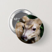 Badge Rond 5 Cm Plan rapproché de cerfs communs (Devant & derrière)