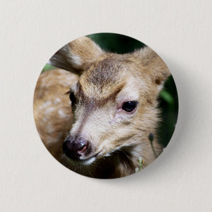 Badge Rond 5 Cm Plan rapproché de cerfs communs