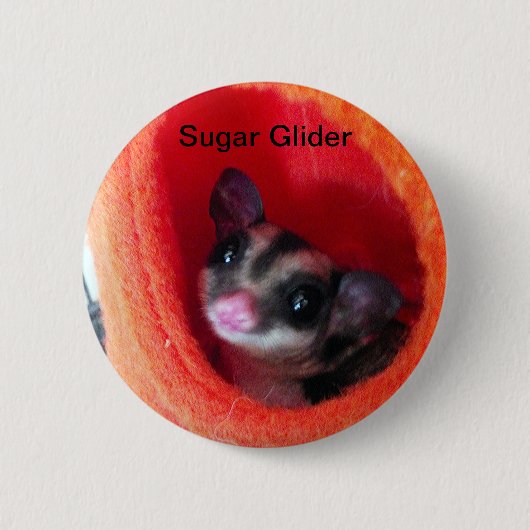 Badge Rond 5 Cm Planeur à sucre en Orange Hanging Lit (Devant)