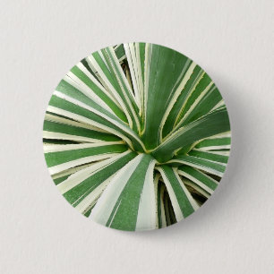 Badge Rond 5 Cm Plante Agave Vert et blanc rayé