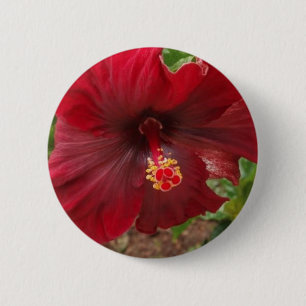Badge Rond 5 Cm plante rouge de ketmie d'Hawaï