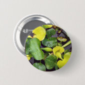 Badge Rond 5 Cm Plantes d'étang à l'épicerie (Devant & derrière)