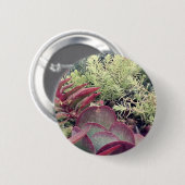Badge Rond 5 Cm Plantes succulents (Devant & derrière)