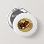 Badge Rond 5 Cm Platype (Devant & derrière)