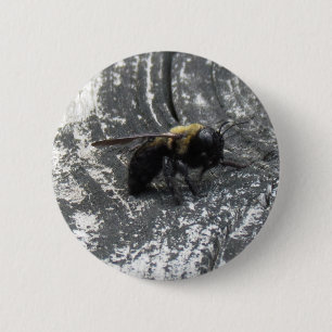 Badge Rond 5 Cm Pludrops