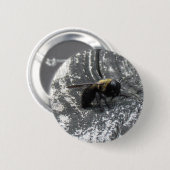 Badge Rond 5 Cm Pludrops (Devant & derrière)