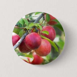 Badge Rond 5 Cm Plum cerise sur branche