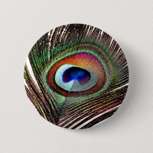 Badge Rond 5 Cm Plume colorée de paon en cuivre