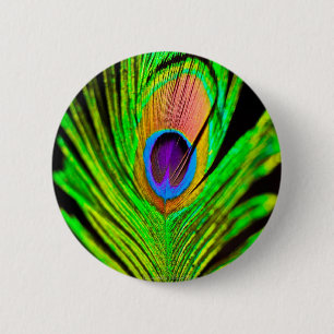 Badge Rond 5 Cm Plume de paon aux couleurs néon
