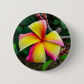 Badge Rond 5 Cm Plumeria rubra (Devant)