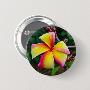 Badge Rond 5 Cm Plumeria rubra