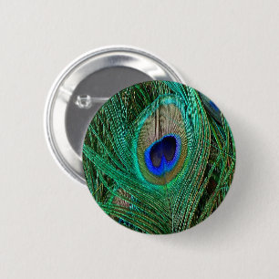 Badge Rond 5 Cm Plumes de paon bleu indien