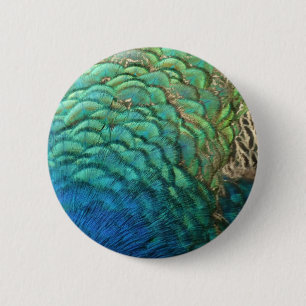 Badge Rond 5 Cm Plumes de paon I Design de nature abstrait coloré