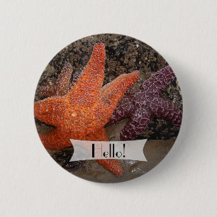 Badge Rond 5 Cm Poisson étoilée colorée personnalisée/Etoile marin