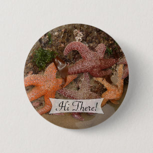 Badge Rond 5 Cm Poisson étoilée colorée personnalisée/Etoile marin