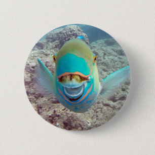Badge Rond 5 Cm Poissons de perroquet d'Hawaï