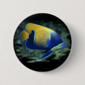 Badge Rond 5 Cm Poissons majestueux d'ange (Devant)