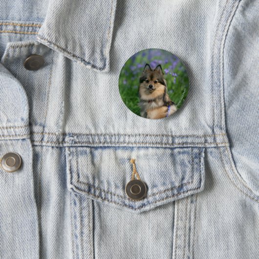 Badge Rond 5 Cm Pomeranian dans l'herbe (En situation)