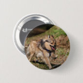 Badge Rond 5 Cm Pomeranian fonctionnant avec le harnais dessus (Devant & derrière)