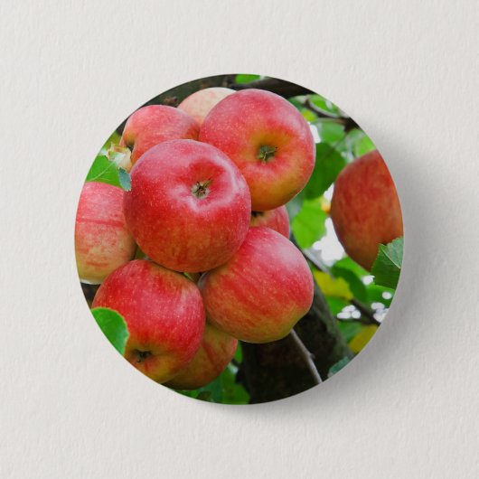 Badge Rond 5 Cm Pommes rouges dans l'arbre (Devant)