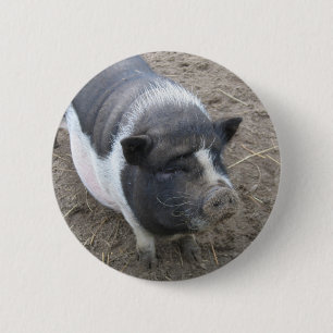 Badge Rond 5 Cm Porc gonflé par pot