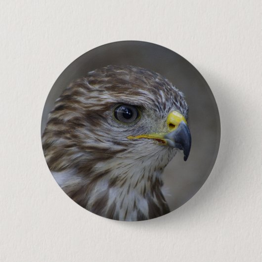 Badge Rond 5 Cm Portrait commun Buzzard (Devant)