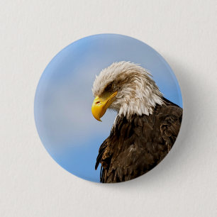 Badge Rond 5 Cm Portrait d'aigle à tête blanche Art animalier